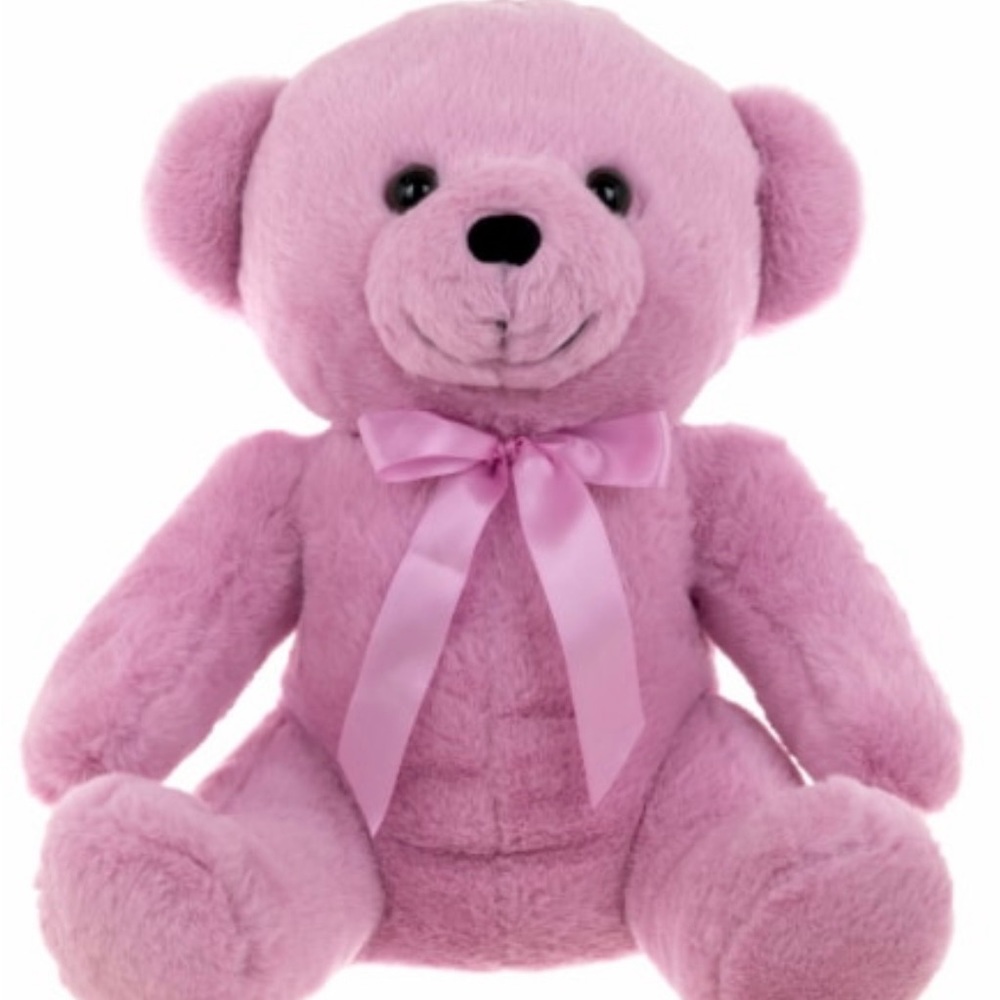 Pink Teddy Bear Plush Toy Medium size